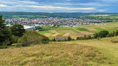 Biotopverbund Steinheim – große Chance zur Stärkung heimischer Arten im Offenland